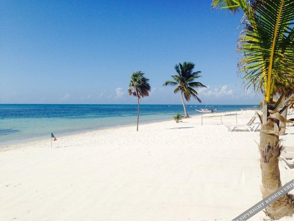 Pavoreal Beach Resort 15/24