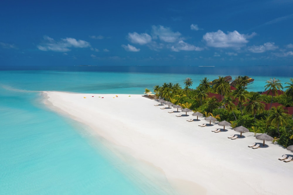 Dhigufaru Island Resort 58/62