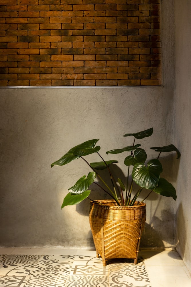 Khunluang Hostel - Adults Only 26/45