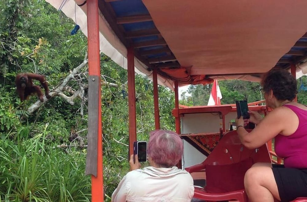 Rimba Orangutan Eco Lodge 23/43
