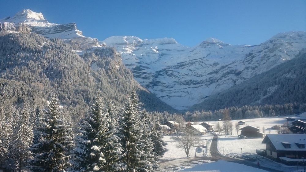 EUROTEL VICTORIA LES DIABLERETS 25/64