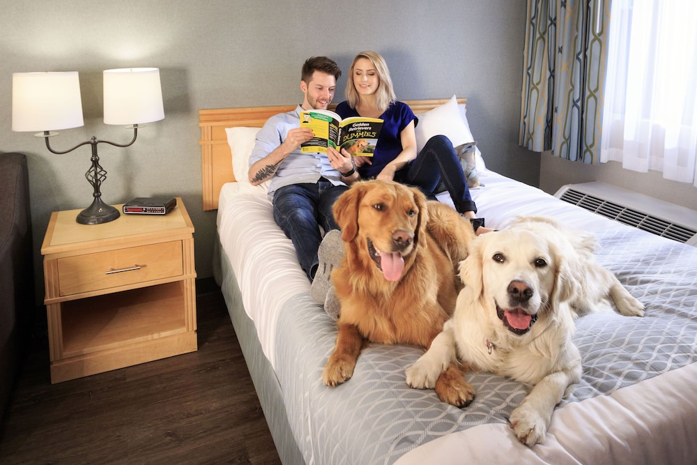 Accent Inn Kelowna 26/43