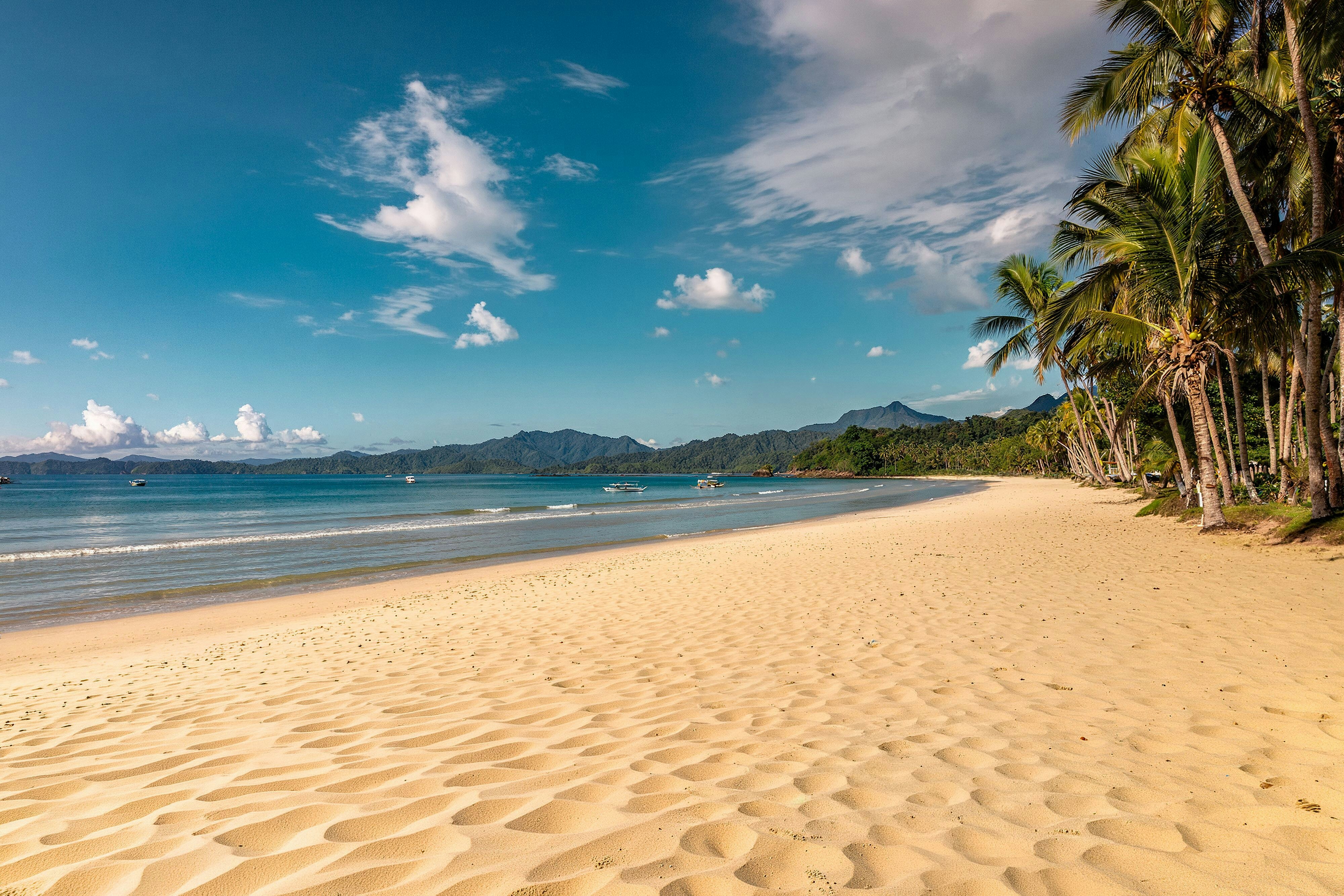 Four Points by Sheraton Palawan Puerto Princesa 13/21