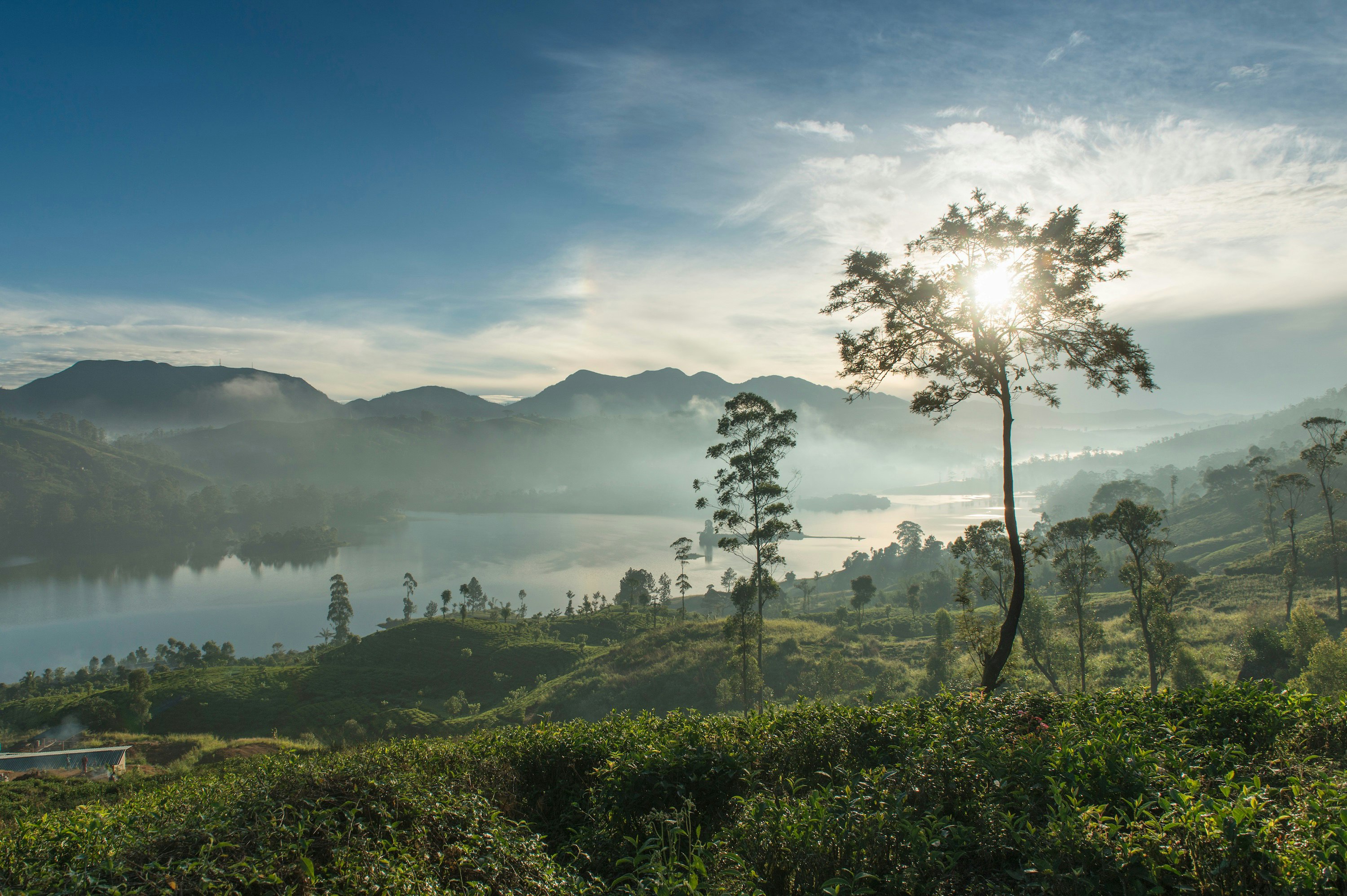 Tea Trails 17/43