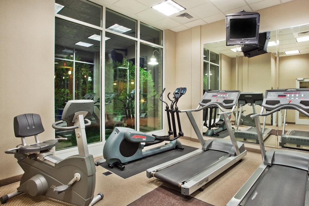 Holiday Inn Atlanta Gas South Arena Area 16/57