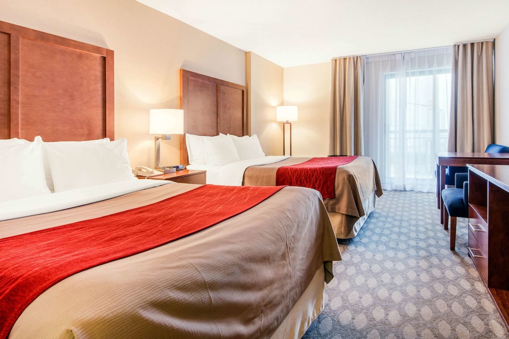 STANDARD, 2 QUEEN BEDS