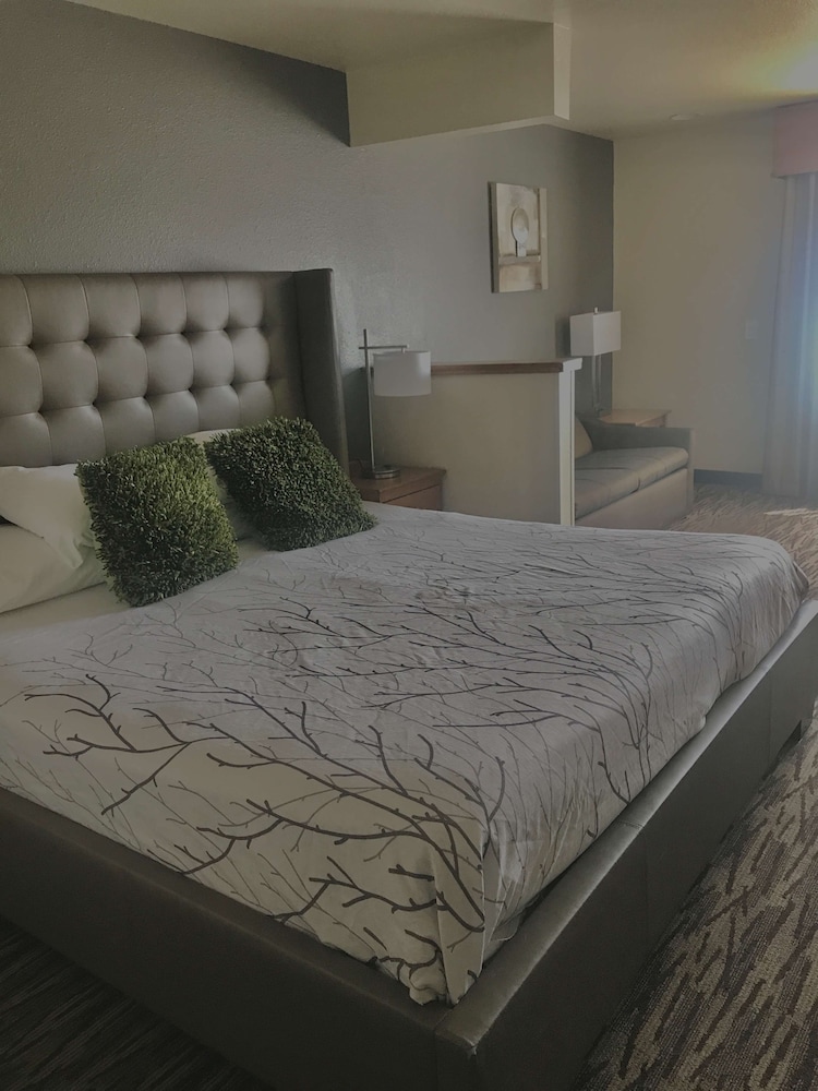 Best Western Plus Peppertree Airport Inn 21/57