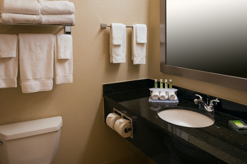 Holiday Inn Express Suites Chicago West Roselle 26/50