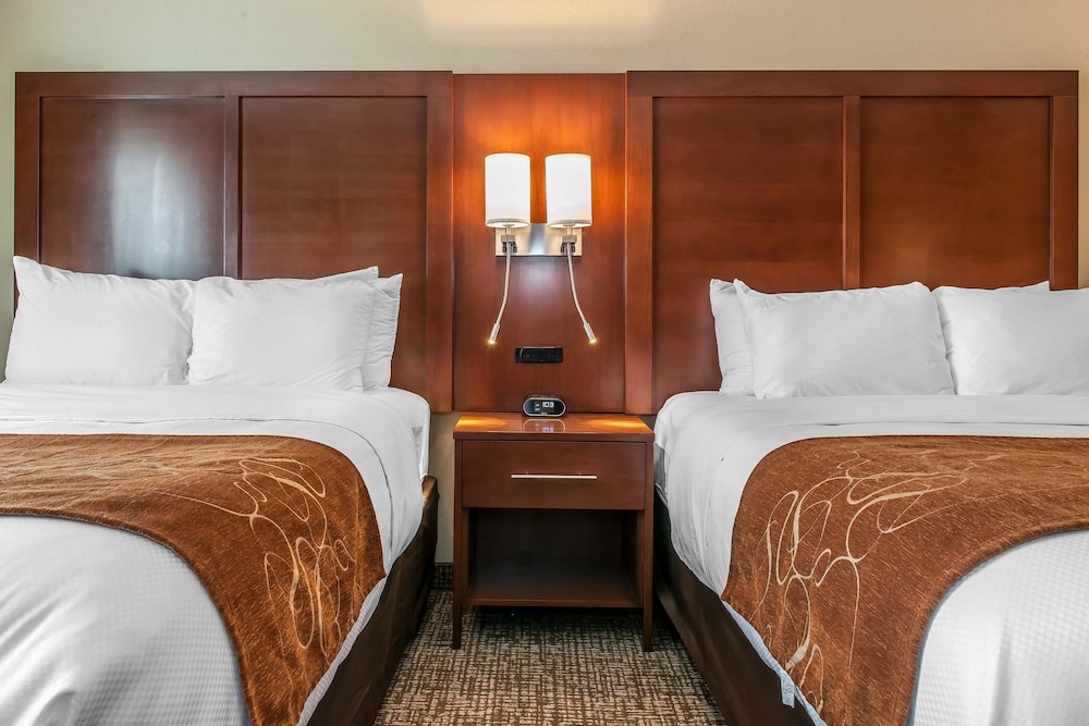 Comfort Suites Rensselaer Near Fair Oaks 14/42
