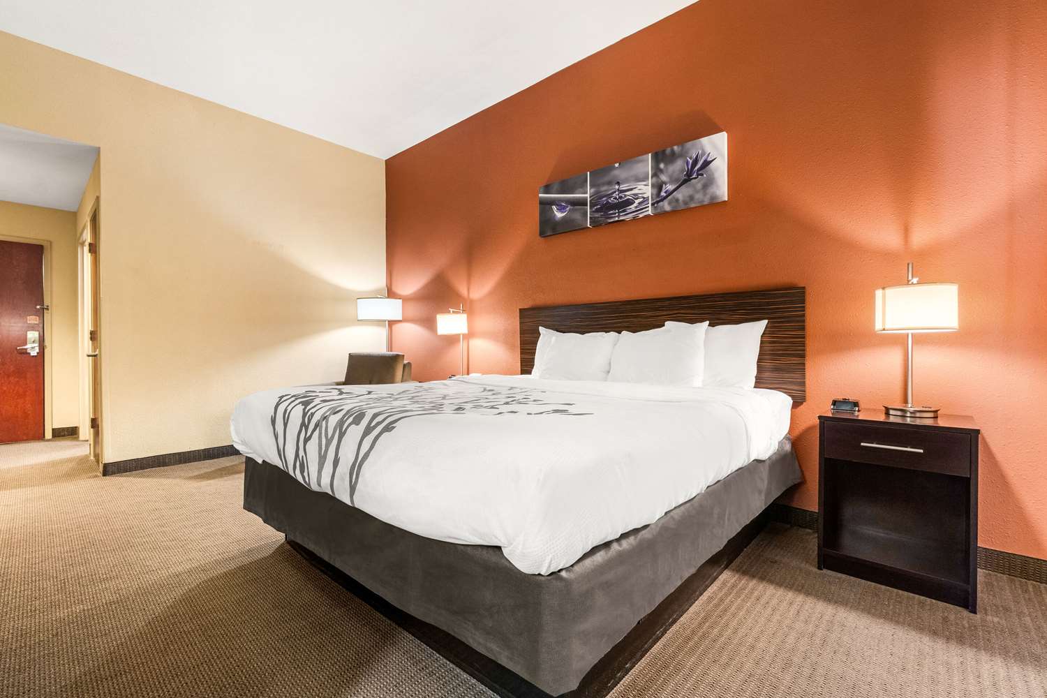 غرفة بسرير كينج، Sleep Inn & Suites Dyersburg I-155 3/3