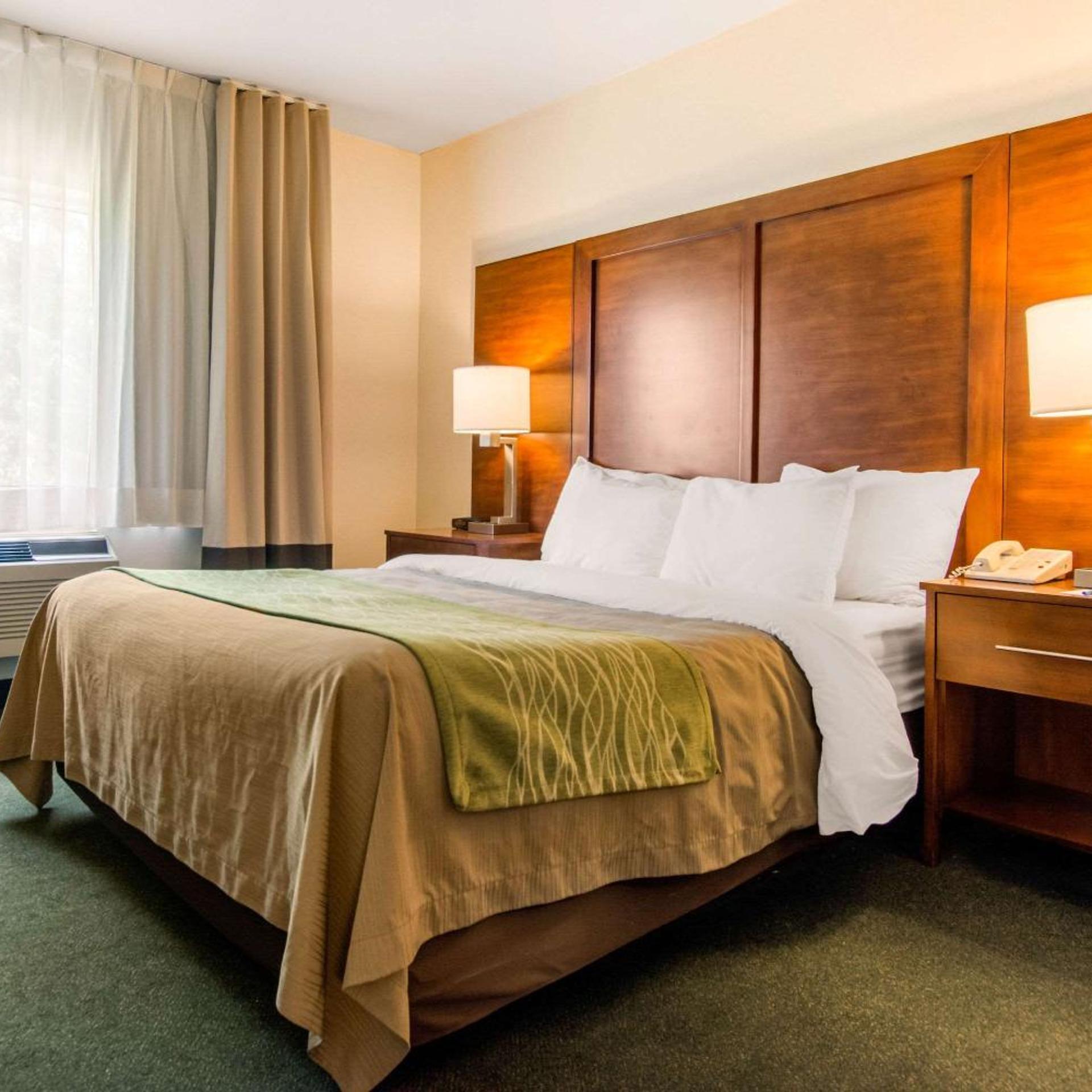 Business, Suite, Queen Bed, Sofa, Jetted Tub