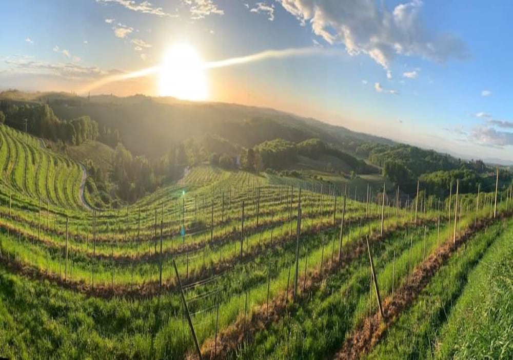 SIBON Wine & Spa Resort 56/70