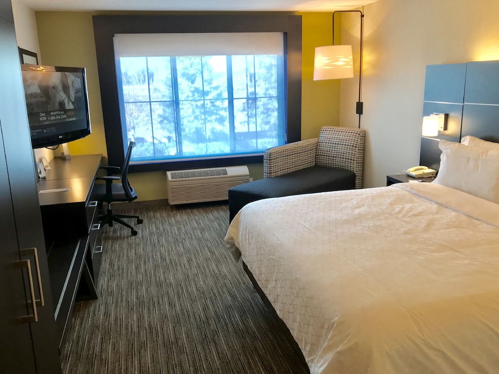 Holiday Inn Express Hotel & Suites Tracy 19/77