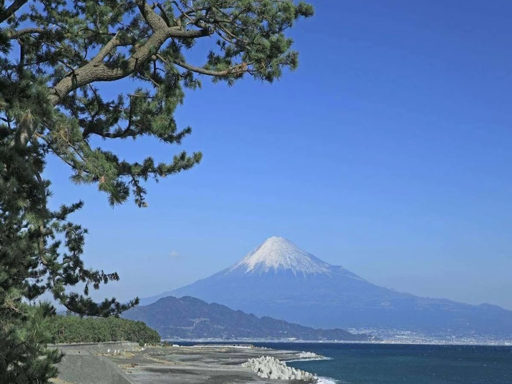Toyoko Inn Shizuoka Shimizu Ekimae 41/42