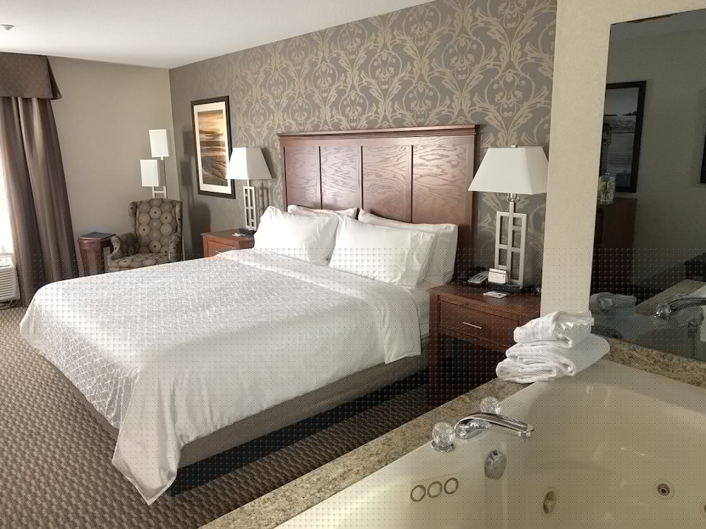 Holiday Inn Express Holland 23/55