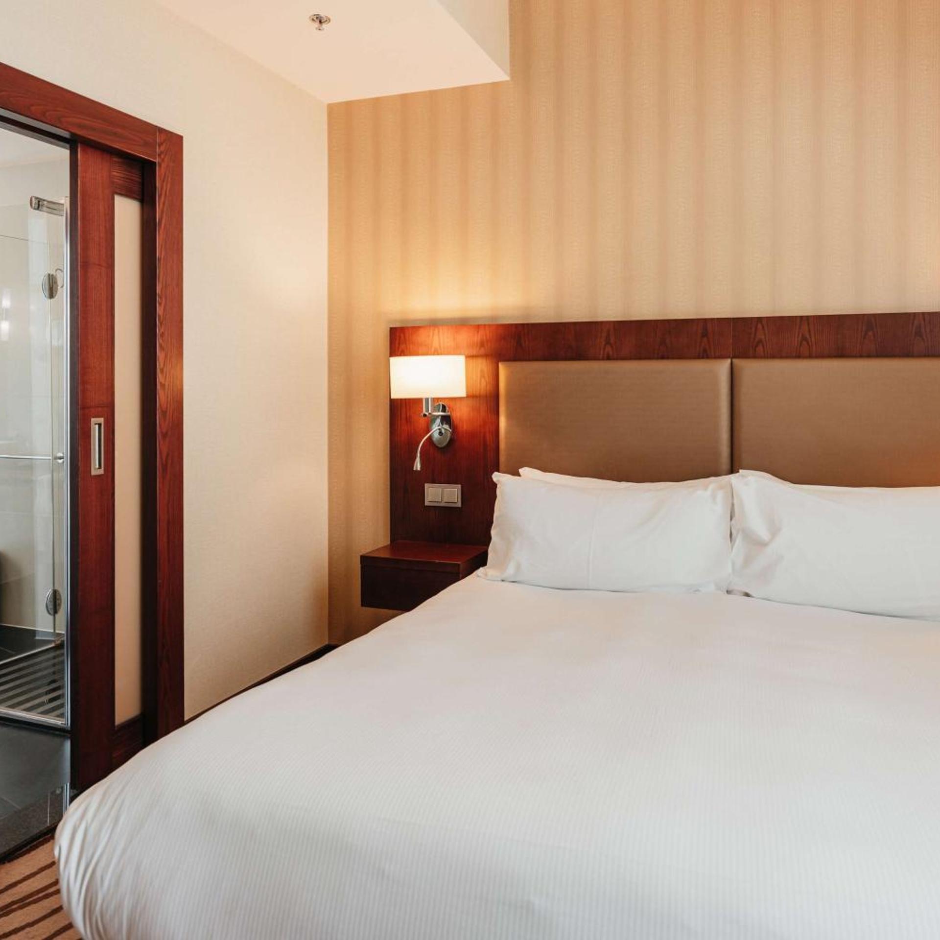 1 BEDROOM, SUITE, KING BED