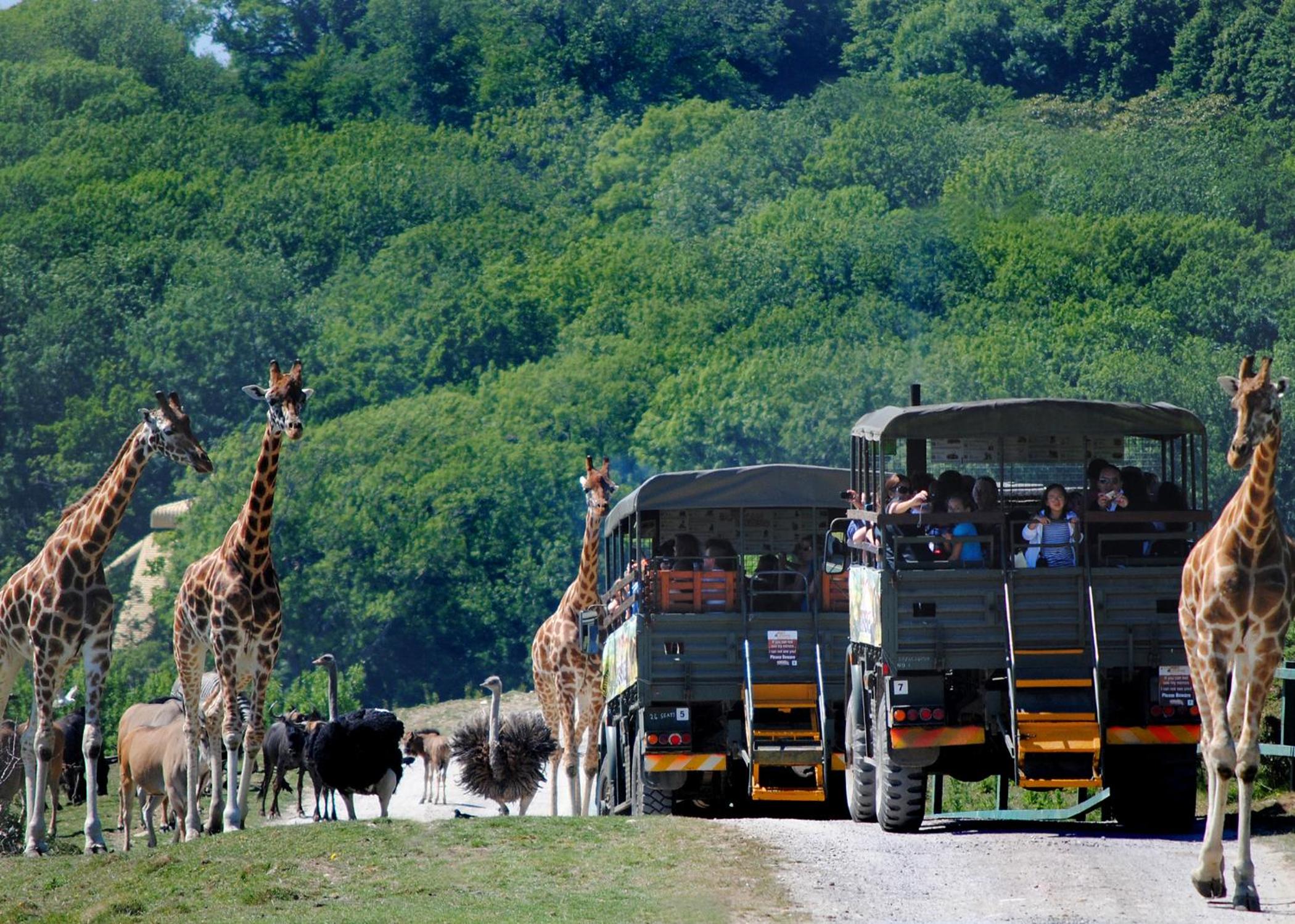 Port Lympne Reserve - Port Lympne Hotel 12/26