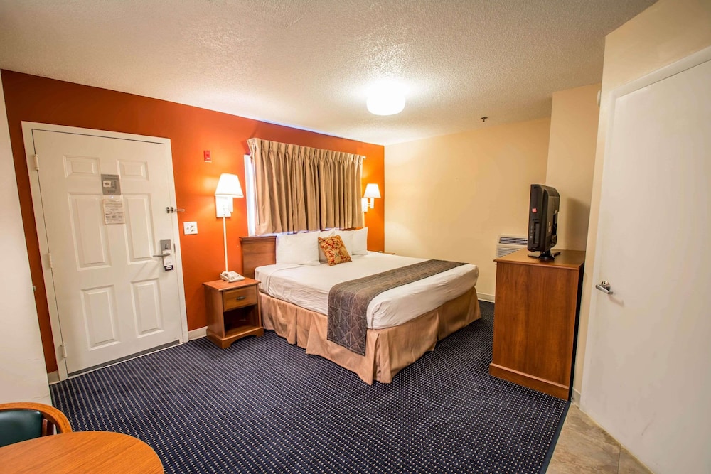 Room, King Bed