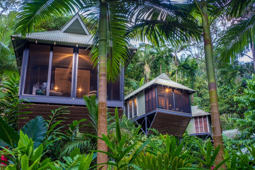 Daintree Ecolodge in DAINTREE
