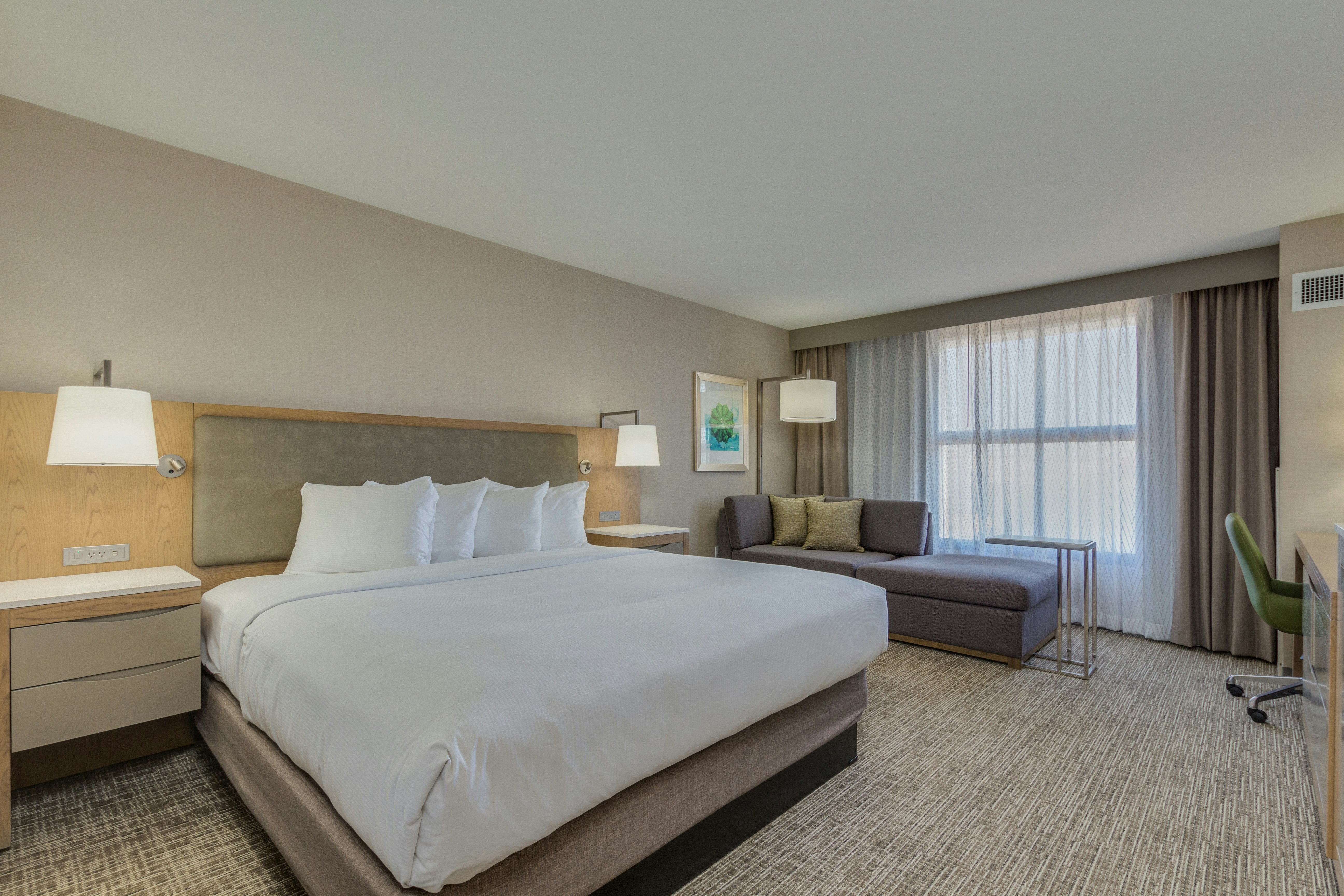 ROOM, KING BED, SOFA