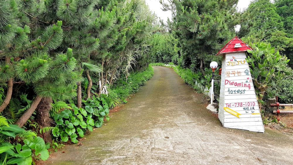 Dreaming Forest 60/67