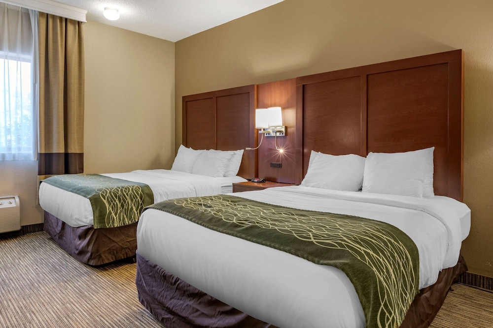 Comfort Inn Warren - Detroit North 11/28