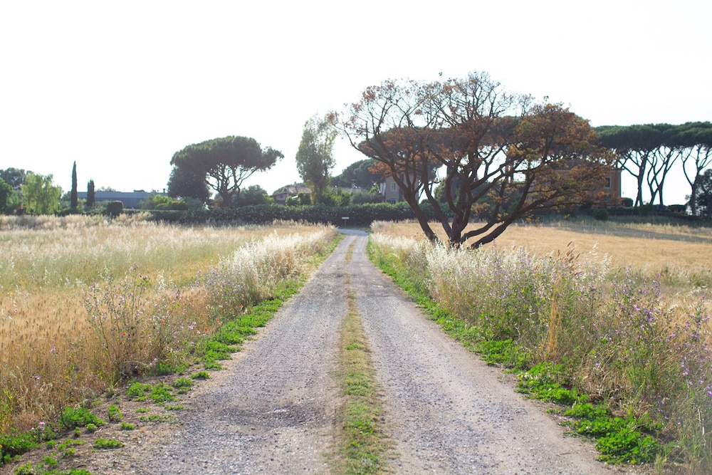 Tenuta Capizucchi 40/50