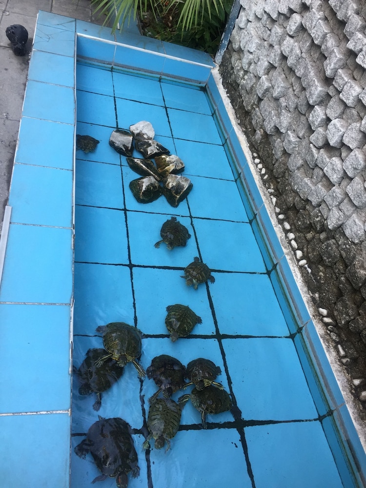 Hotel Baylan 26/55