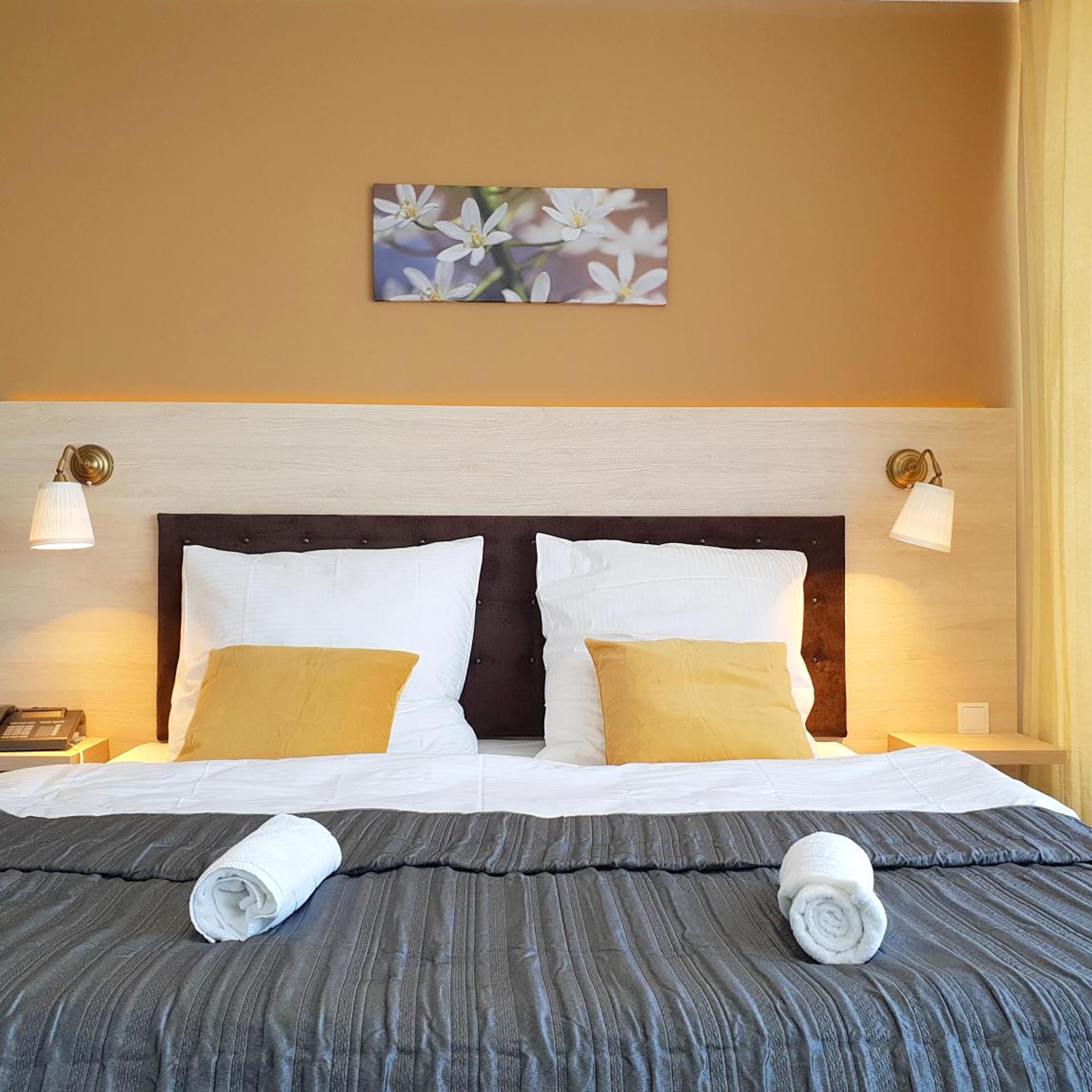 غرفة ديلوكس بسرير مزدوج بحوض استحمام، Hotel Denbu 9/10