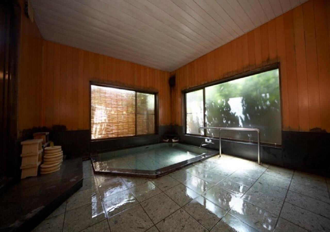 Shinshu Shimosuwa Onsen Gingetsu 12/18