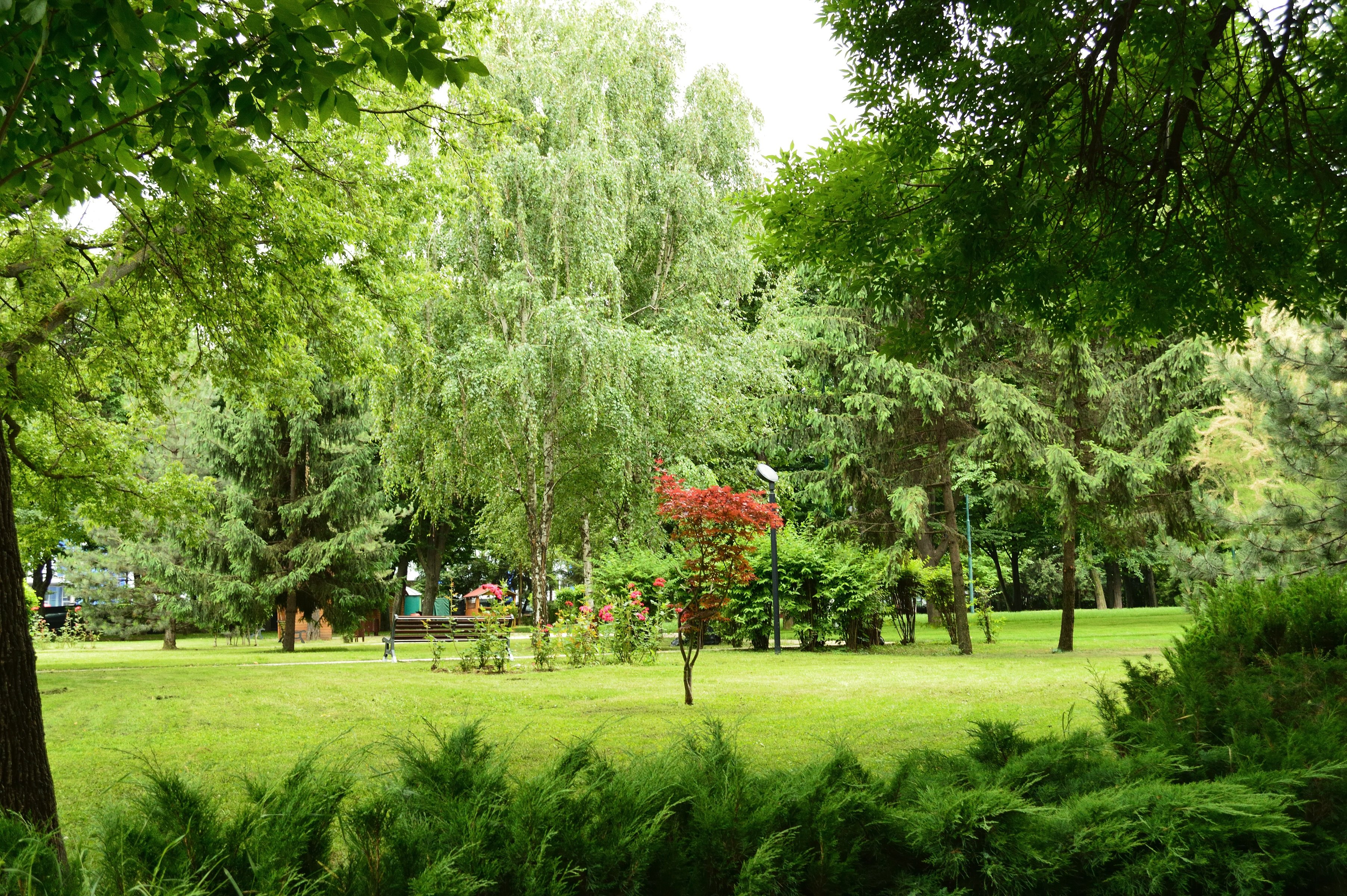 CROWNE PLAZA BUCHAREST 44/50
