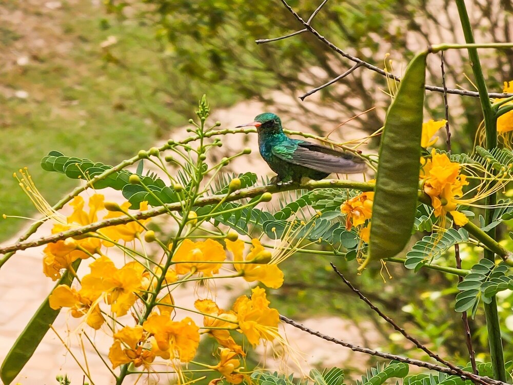 Pousada Aguas de Bonito 29/50