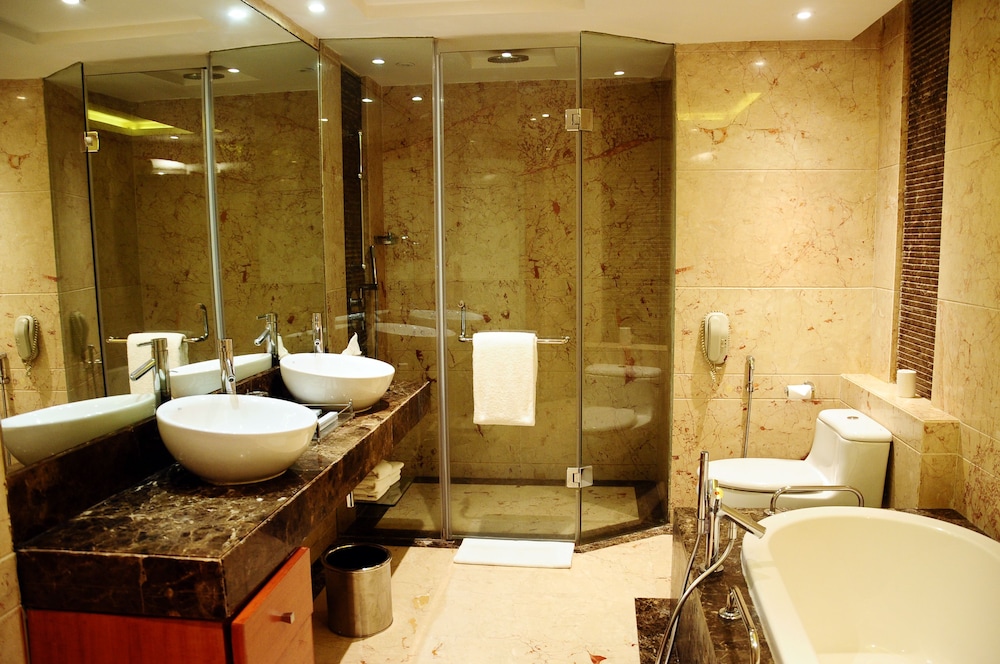 Radisson Blu Plaza Hotel Delhi Airport 10/76