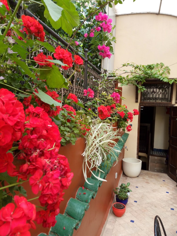 Riad Letchina 9/50