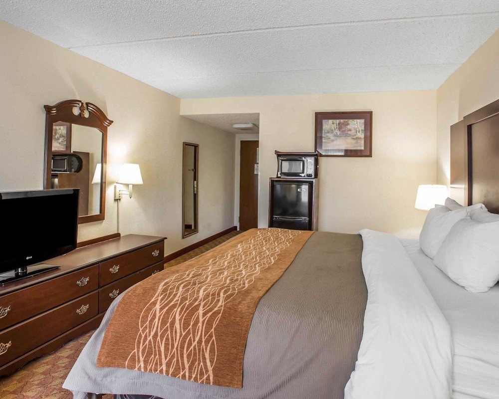 Comfort Inn and Suites at I-85 20/49