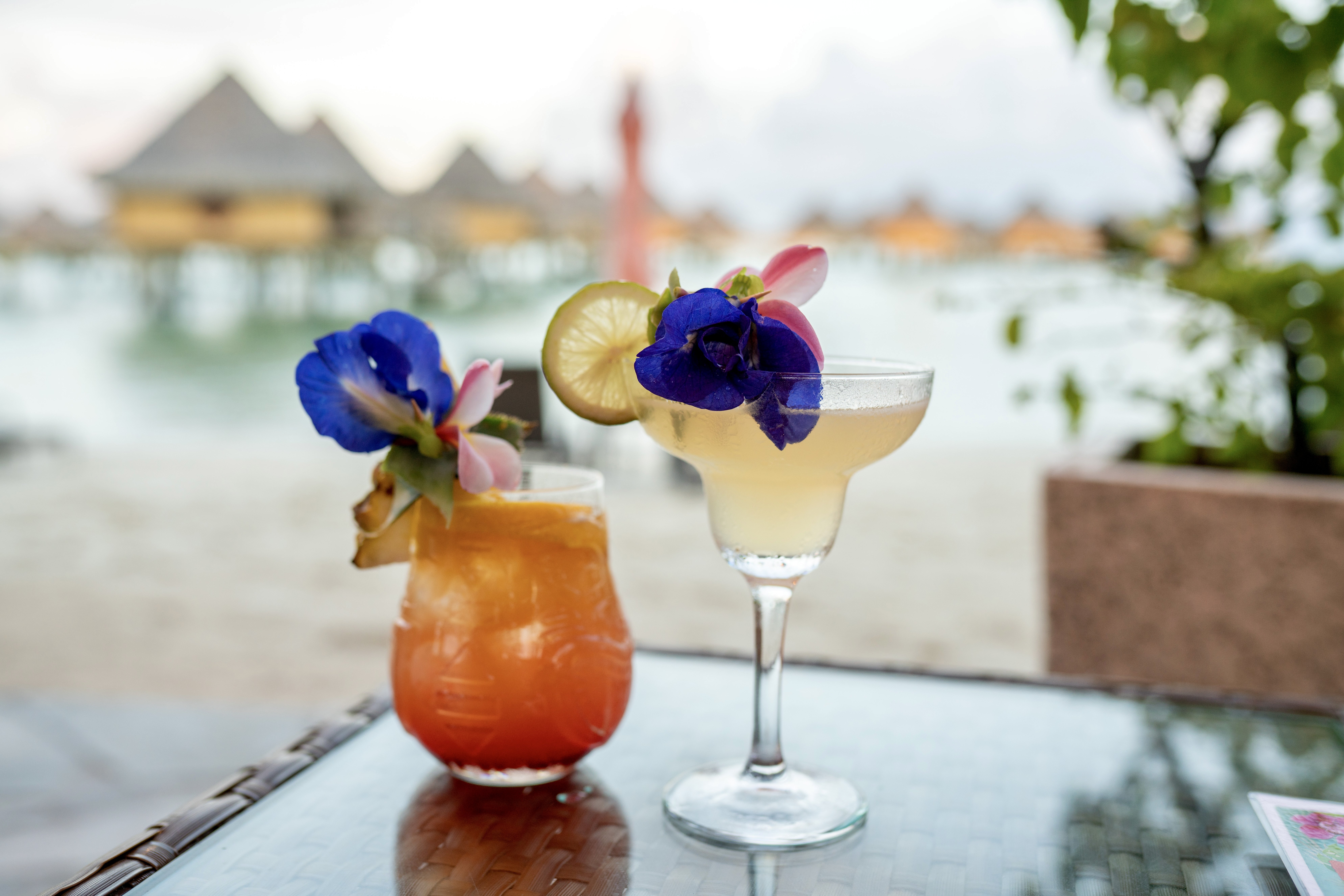 Intercontinental Bora Bora Le Moana Resort 19/81