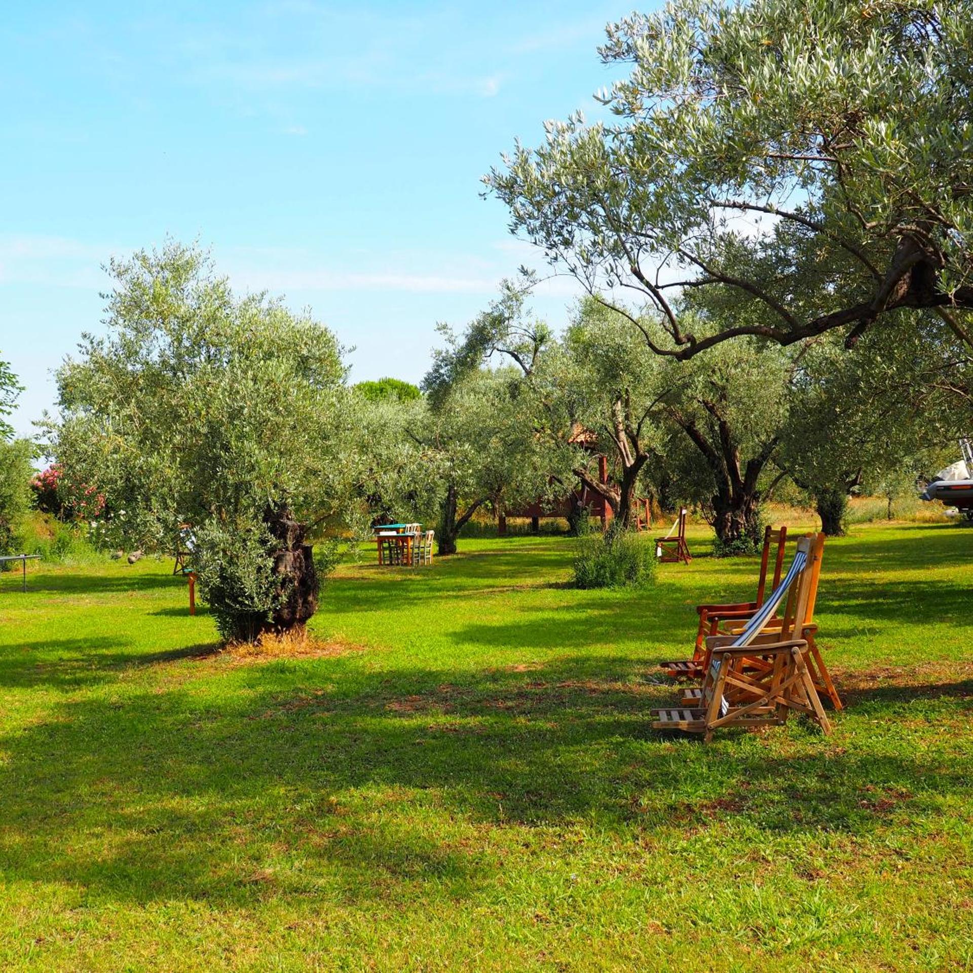Emel Pension 26/50