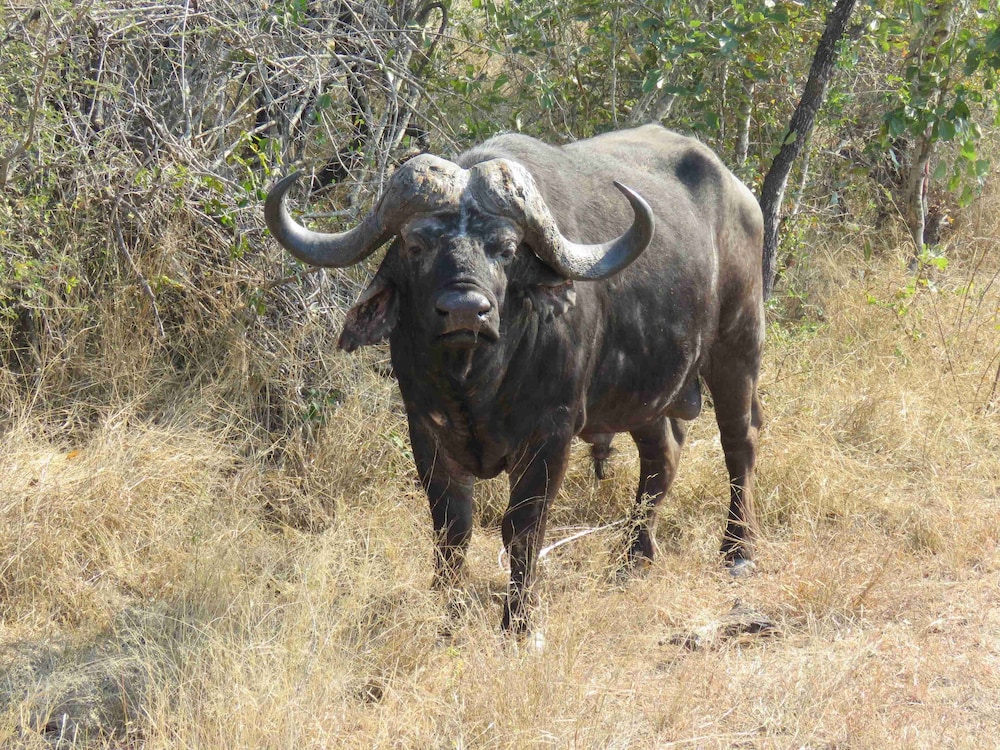 Ulwazi Rock Lodge 42/50