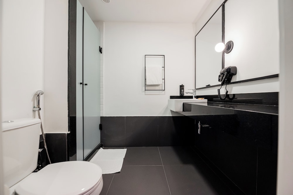 Ibis Pelotas 75/77