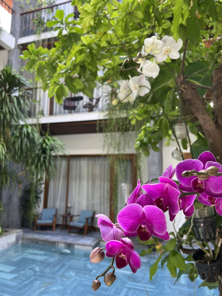 Tam House Villa Hotel 45/50