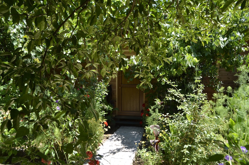 Olympos Mercan Pansiyon 25/50