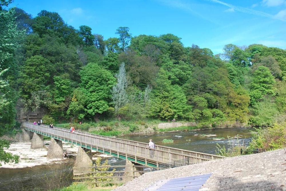 Finchale Abbey Park 10/11