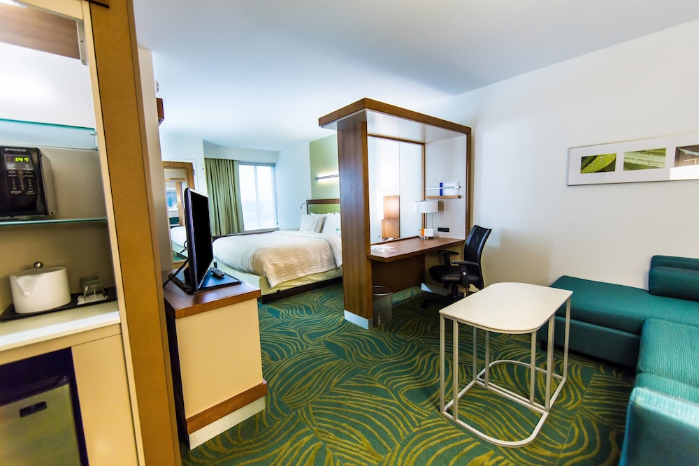 SpringHill Suites Lumberton 21/59