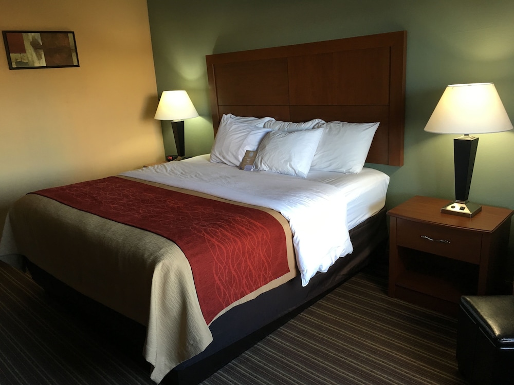 Comfort Inn Jackson I-40 13/33