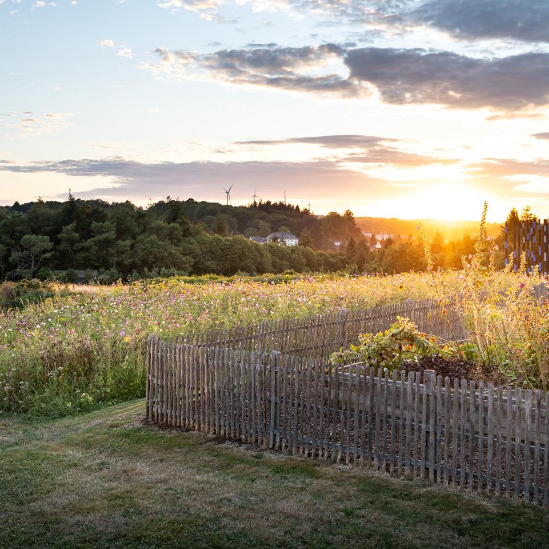 Relais Du Silence La Gree Des Landes Eco Hotel Spa Yves Rocher 44/50