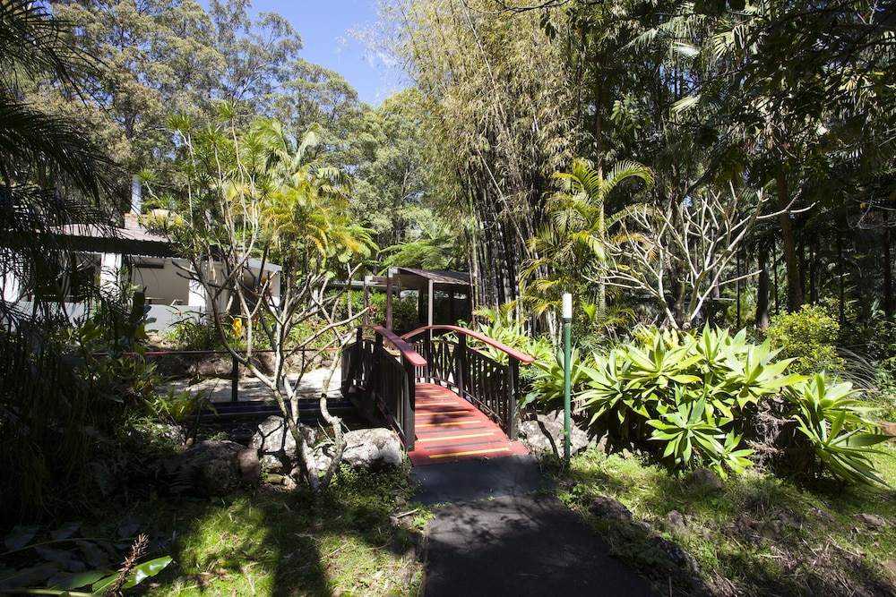 Songbirds Rainforest Retreat 35/50