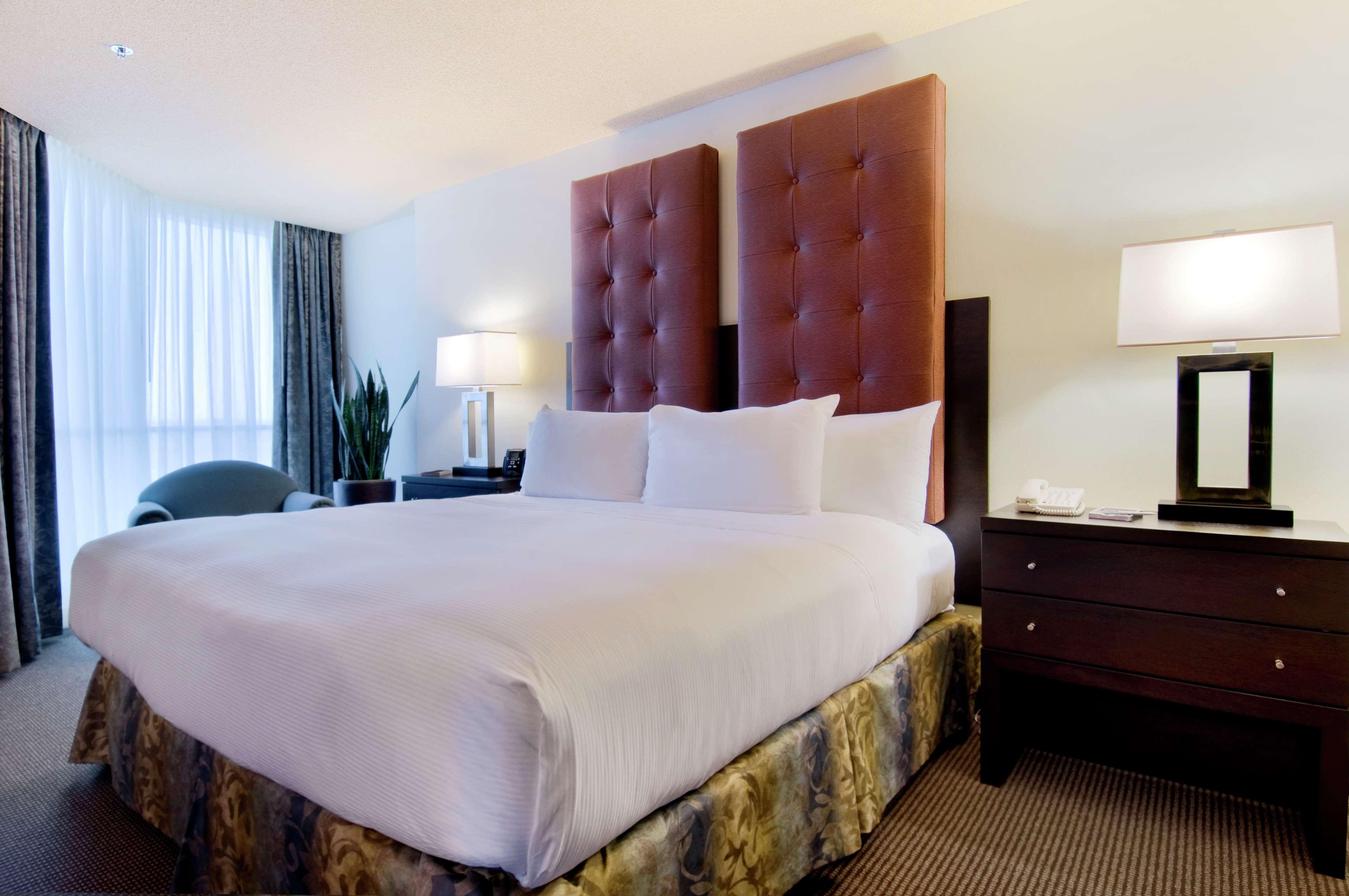 Suite, King Bed