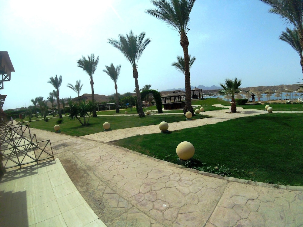 Xperience Golden Sandy Beach 38/50
