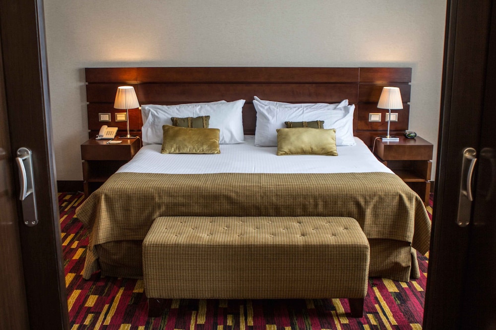 Holiday Inn Buenos Aires Ezeiza Airport 24/59