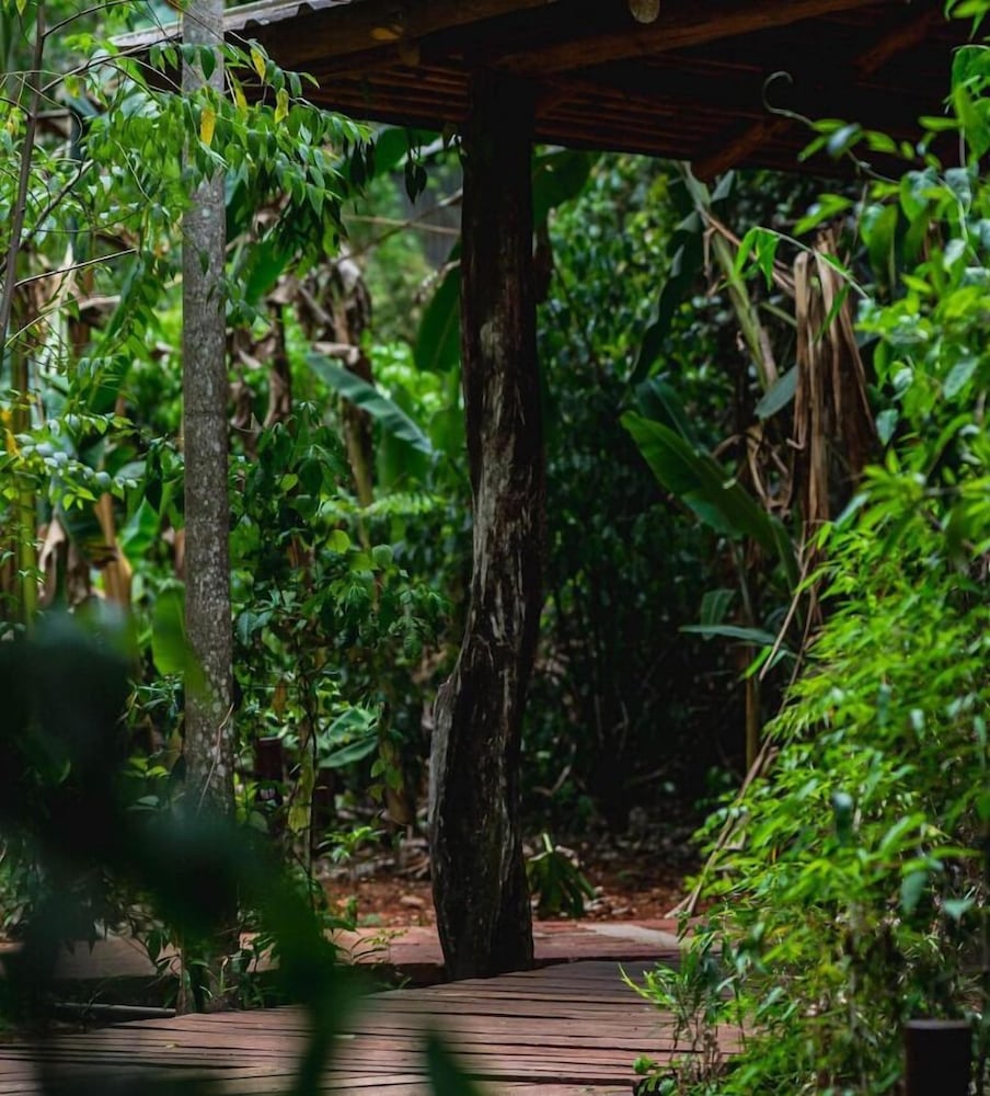 LA ALDEA DE LA SELVA LODGE 41/43